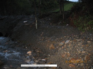 Zona da canle do río onde pode verse a colmatación que acadou