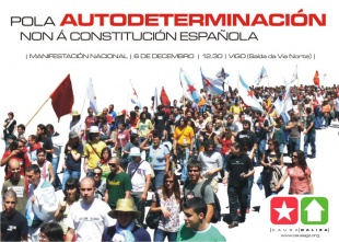 O cartaz da manifestación do 6-D