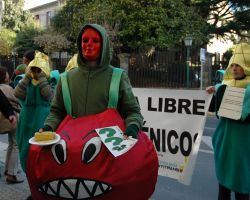 Un tomate transxénico, avisando da súa perigosidade