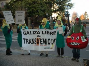 Membros da PlatafA PGA, manifestándose ás portas do Parlamento, o pasado 26 de novembro